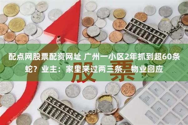 配点网股票配资网址 广州一小区2年抓到超60条蛇？业主：家里来过两三条，物业回应
